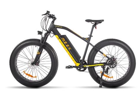 Electric Bike 750W 48V 12.8 AH 4.0 Fat Tire 7 Speed Bicycle